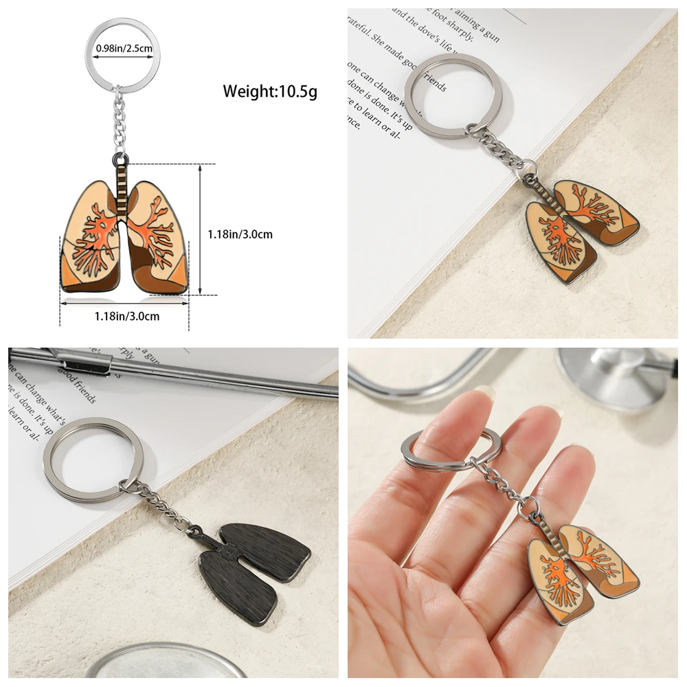 Hanreshe Medical Charm Keychain Set Stethoscope Heart Lung Pendants Keyring for Doctor Nurse Backpack Bag Key Chian Jewelry view 4