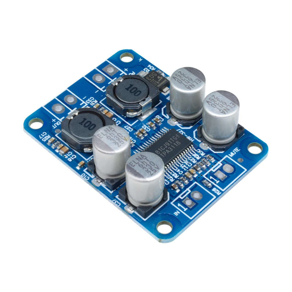 TPA3118 PBTL Mono Digital Audio-Leistungsverstärker-Platine 60W 8V -24V Leistungsverstärkermodul Auto High Out Low Power – Detail 4