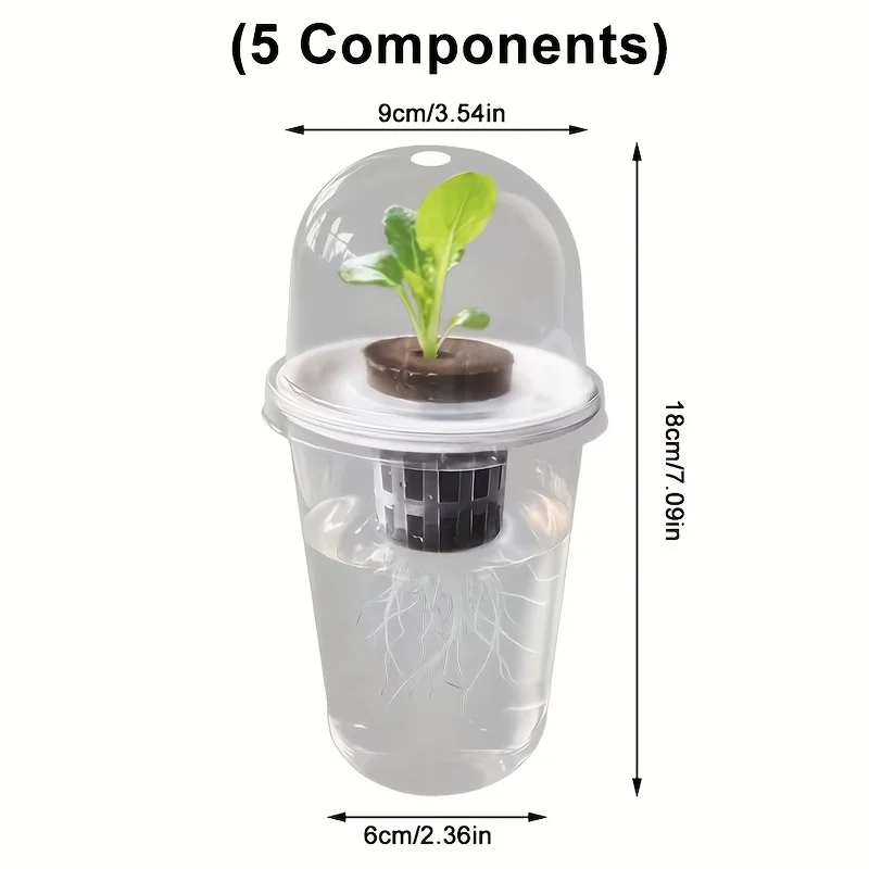 1/2pcs Transparent Cylindrical Plastic Hydroponic Pot - For Succulents, Sweet Potatoes, Garlic & Vegetable Seedling Propagation
