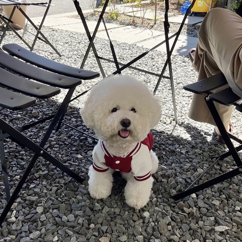 

Winter Pet Baseball Jackets Teddy Bear Warm-Weather Hoodies Bichon Frise Letter Print Button-Down Shirts Dog Products