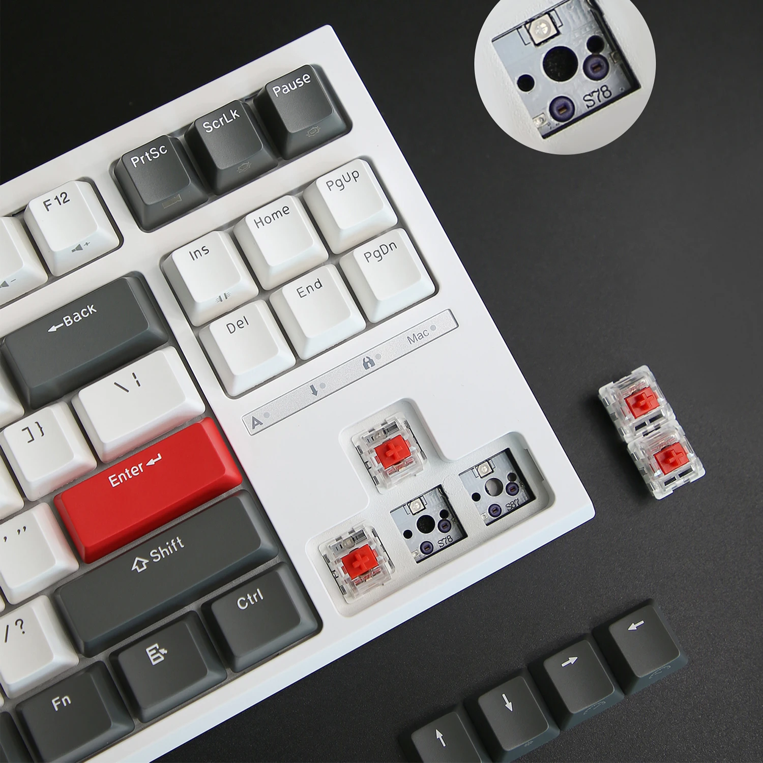 Imagem -05 - Royal Kludge-teclado Mecânico com Fio Retroiluminado Rgb Hot-swappable Teclado Gamer Teclados Personalizados com Capa Protetora contra Poeira R87 rk