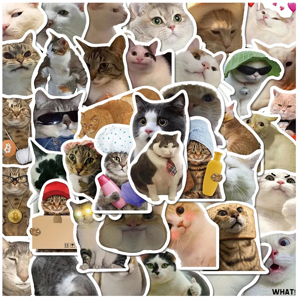 10/30/50pcs mignon Animal chat Meme autocollants drôle Expression autocollant étanche bricolage bouteille d'eau valise téléphone décalcomanies décoration