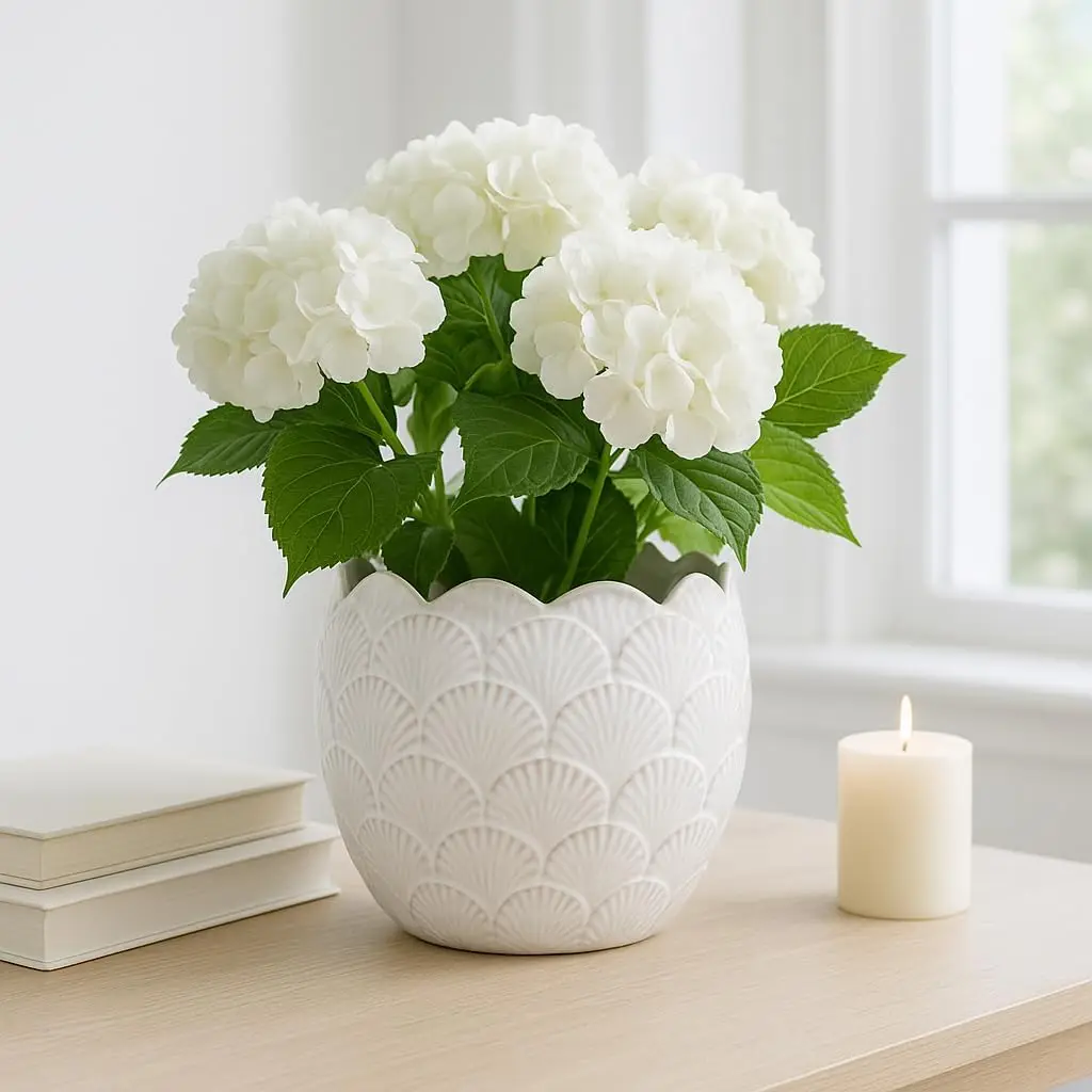 

Flower Pot and Planter for Home Decor – Elegant Ceramic Plant Pot for Indoor and Outdoor Use – Decorative Planter for