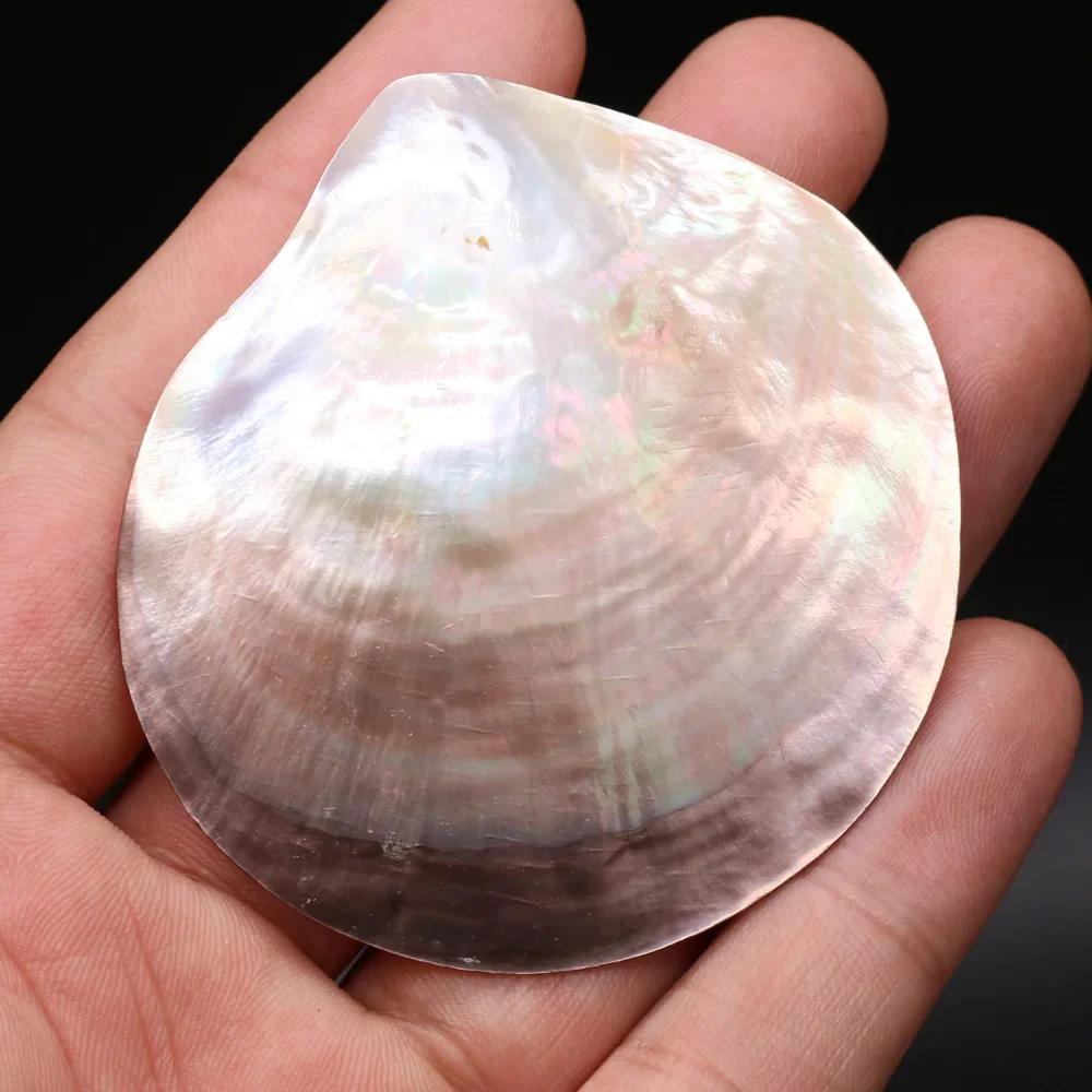 

1PC Natural Seawater Shell Pendant Bead Charm for Jewelry Making DIY Necklace Earrings Accessories Gift 80x85-82x87mm