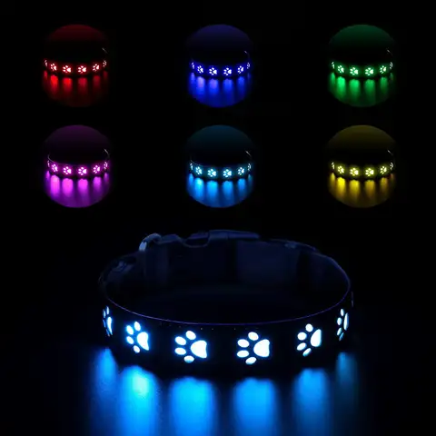 Rechargeable LED Dog Collar Rainproof Nylon USB-C Luminous Dog Necklace 3 color 6 modes Light Up Pet Collars for Dogs