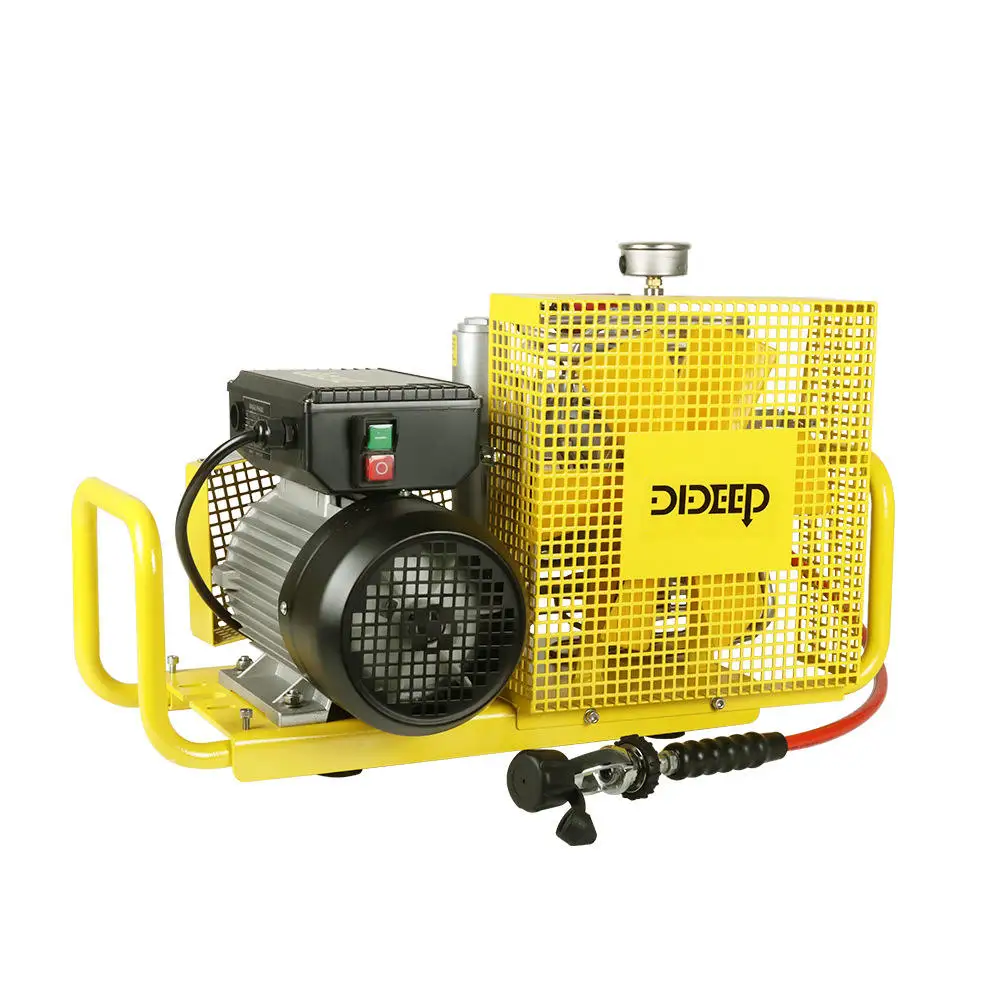 Electric Inflation Pump Diving Air Tank Quick Inflation Electric Air Compressor Pump