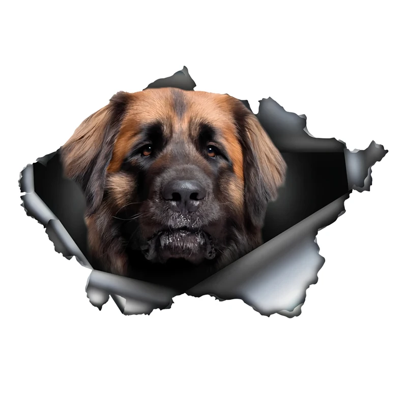 DK526# Leonberger Car Stickers, Waterproof Pvc Animal Decals With 3D Effect, Block Scratches and Increase Fun Auto Parts