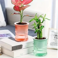Transparent Double Layer Self Watering Planter Lazy Hydroponic Flower Pot Office Plastic Plant Container 3