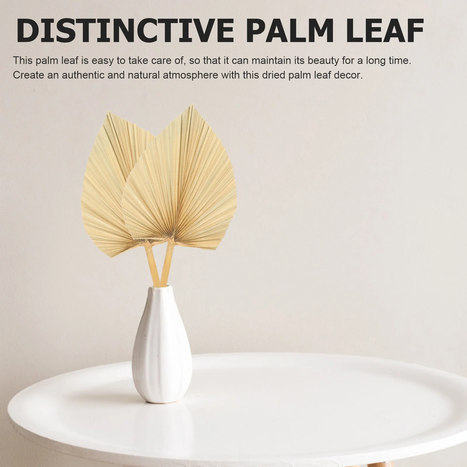 

3Pcs Dried Palm Leaf Decor Authentic Natural Atmosphere Family Office Wedding Floral Adornment Dried Palm Leaf Decor