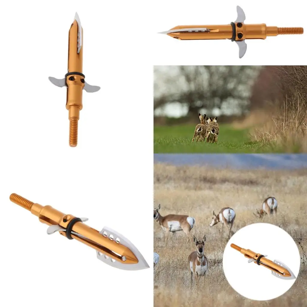 Q39E 1Pc Screwed Points 2 Expandable Point for Compound