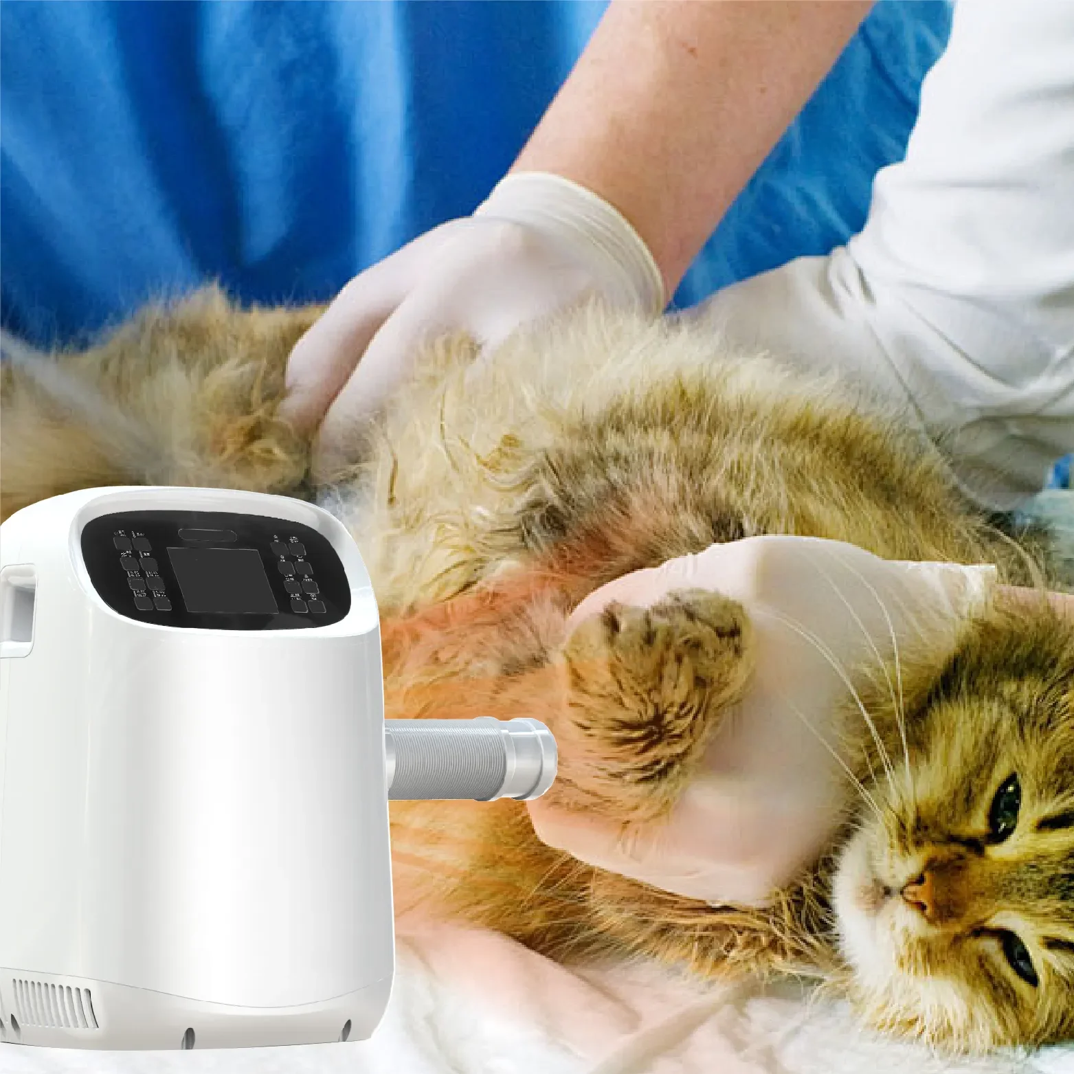 Large Animal Pet Clinic Surgical Care Machine Constant Temperature Heating System With Cushion For Dog Operations