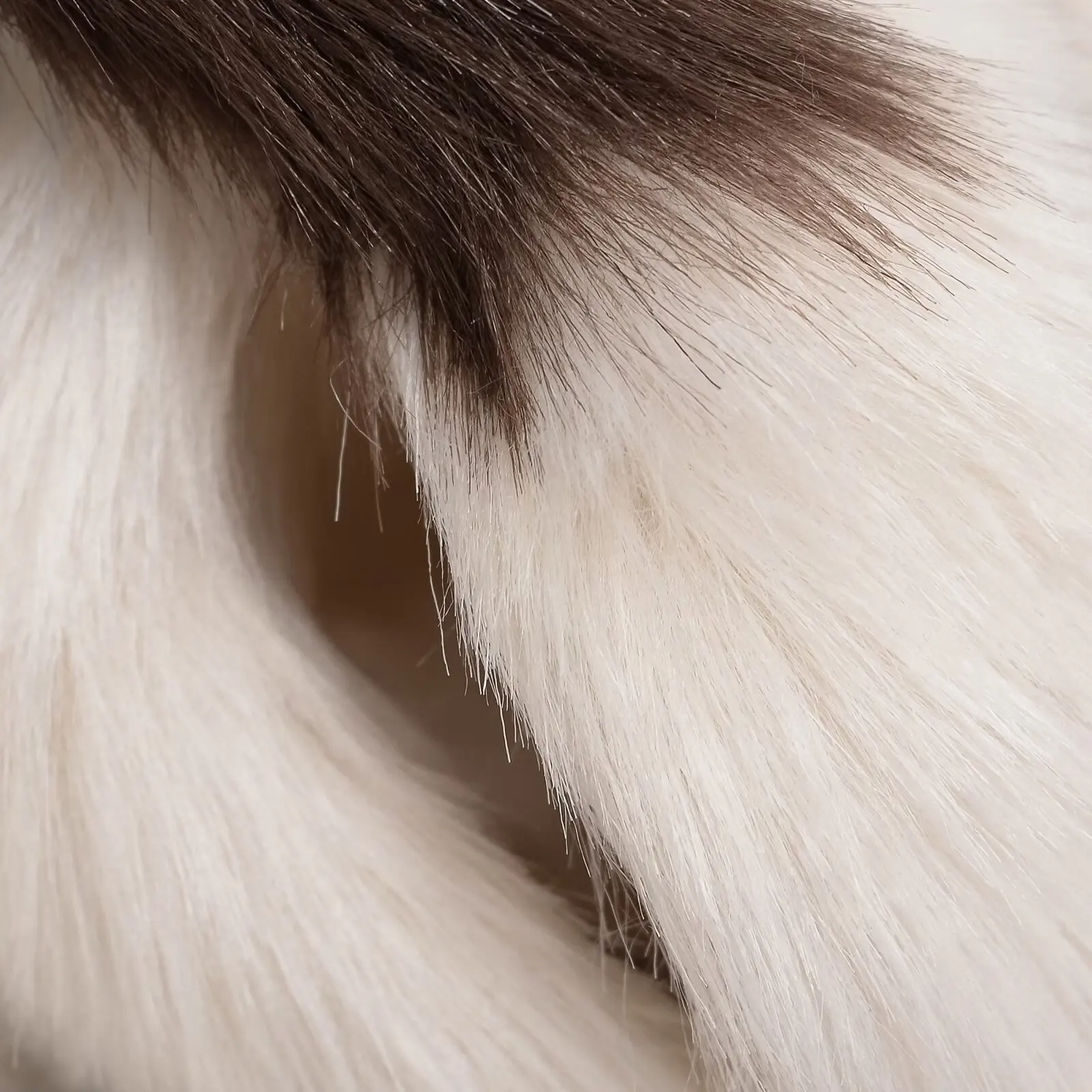 معطف نسائي من JNLEAOG بتصميم مطبوع عليه حيوانات من الفرو الاصطناعي مناسب للخريف جديد من ألياف البوليستر طويل...