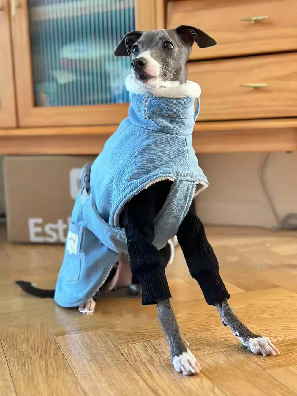 Blue Fleece Cape Denim Jacket for Italy Greyhound Winter Thick Windproof Warm High-Neck Cotton Coat for Whippet Berlington Dogs