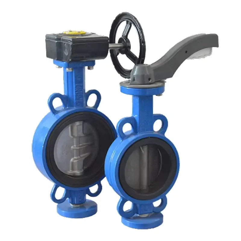 Ductile Iron High Resilient Sealing Swing Check Valve Flange Connection for Base Hydraulic Operated DN50-DN3000 Port Size