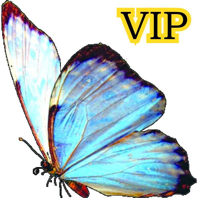

Пополнение VIP-клиентов Vip Make Up The Difference, Make Up The Freight, Special Link