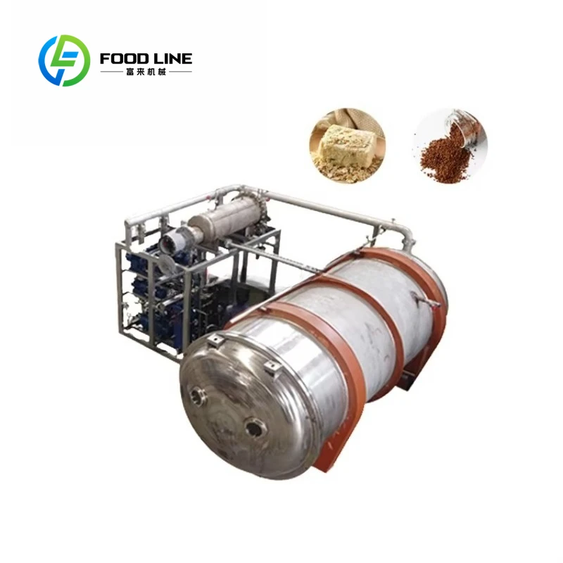 Customized size Industrial automatic freeze dryer for fruit and vegetable processing