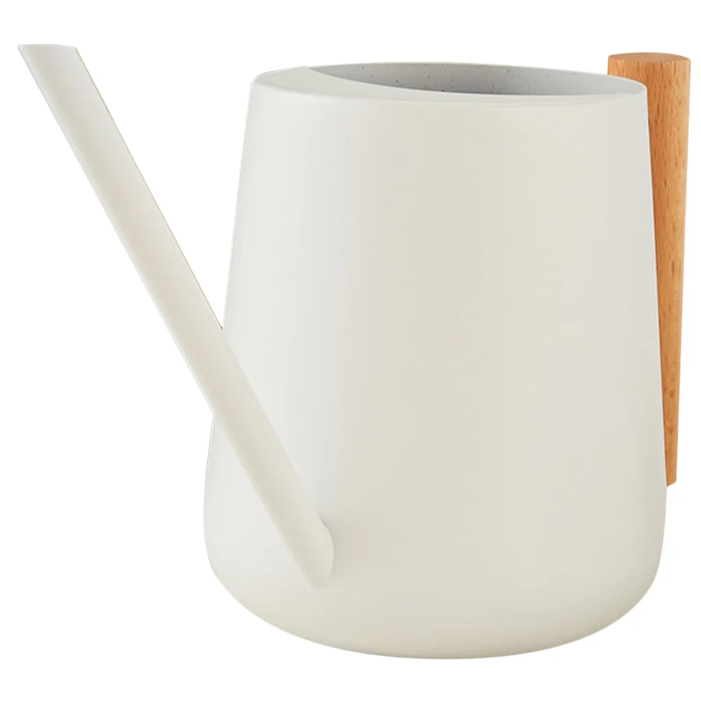 

Indoor Plant Watering Can Stainless Steel 900ml Long Spout Water Pot for Succulent Bonsai Easy Refill Indoor Plant Accessories