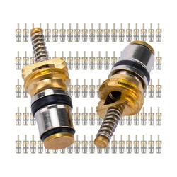 100pcs,Valve Core for Volvo Ford Regal Picasso Citroen Fukang Elysee Mondeo R134a