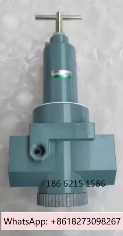 Professional Sales …