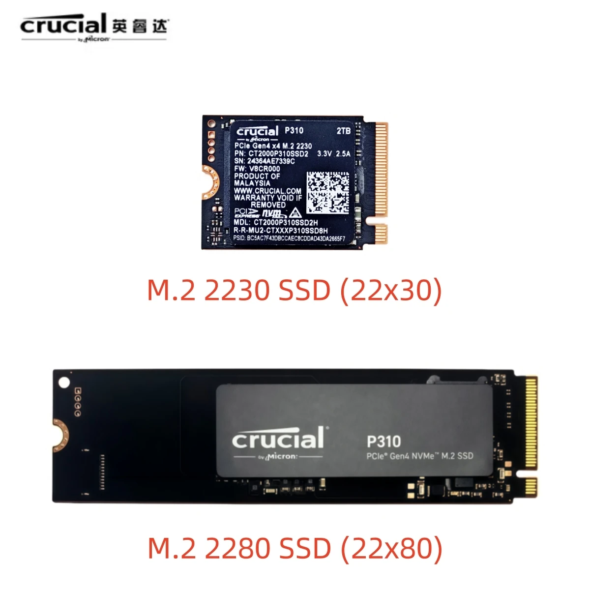 Crucial P310 1TB 2TB 2230 / 2280 PCIe Gen4 NVMe M.2 SSD – Up to 7,100 MB/s – Shift up to Gen4, with Acronis Offer, Internal SSD