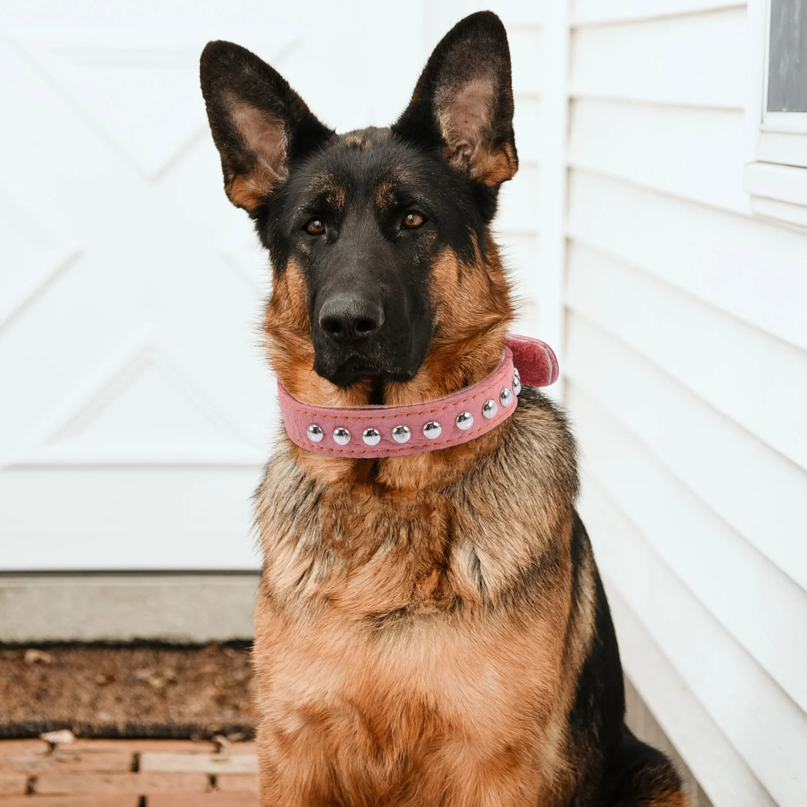 

Adjustable Pet Comfortable Skin-Friendly Dog Large Medium Puppy Decorative Party Collar Wear-Resistant Design Heavy Duty
