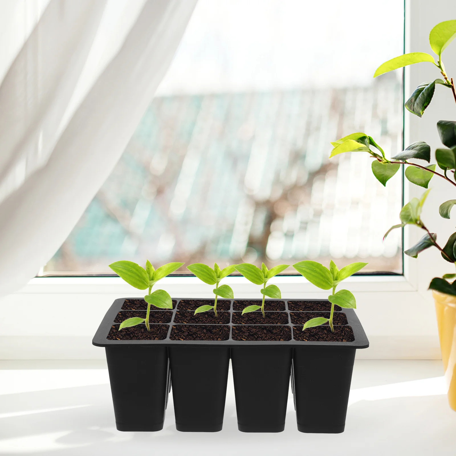 

Germination Tray Reusable Silicone Plant Starter Tray for Healthy Quick Growth of Vegetables Fruits Flowers Plants Propagator