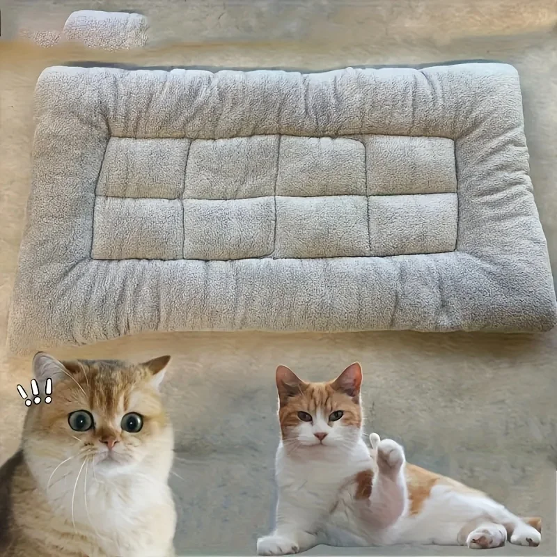 Thumbnail 4 - #2 Best Cat Beds to Buy In 2026