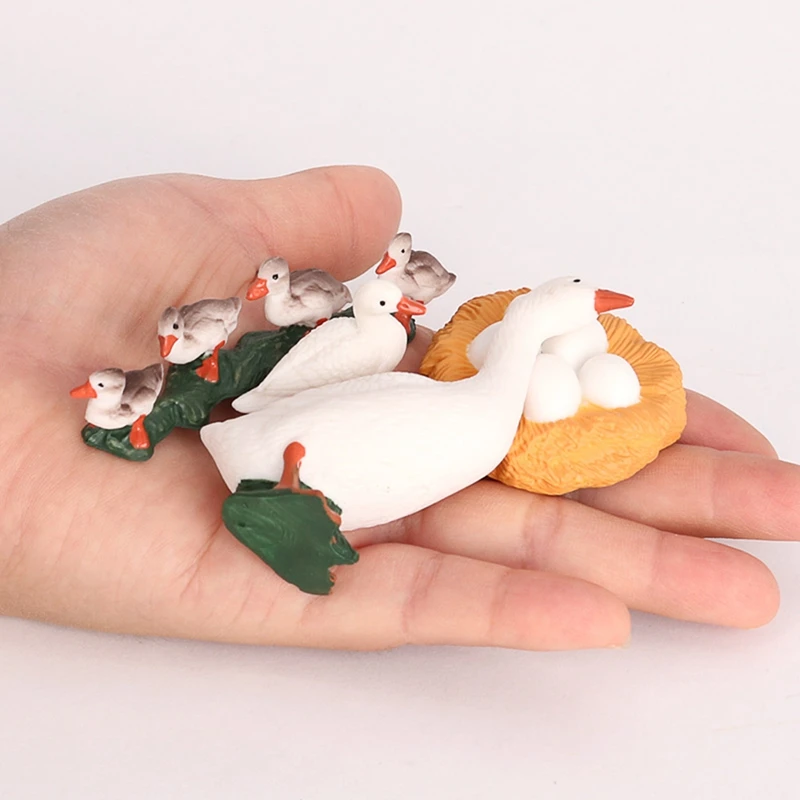 4Pcs/Set Duck Animal Life Cycle Farm Animals Figurines Life Cycle Exploration Toy Science Model Kids Educational Toys