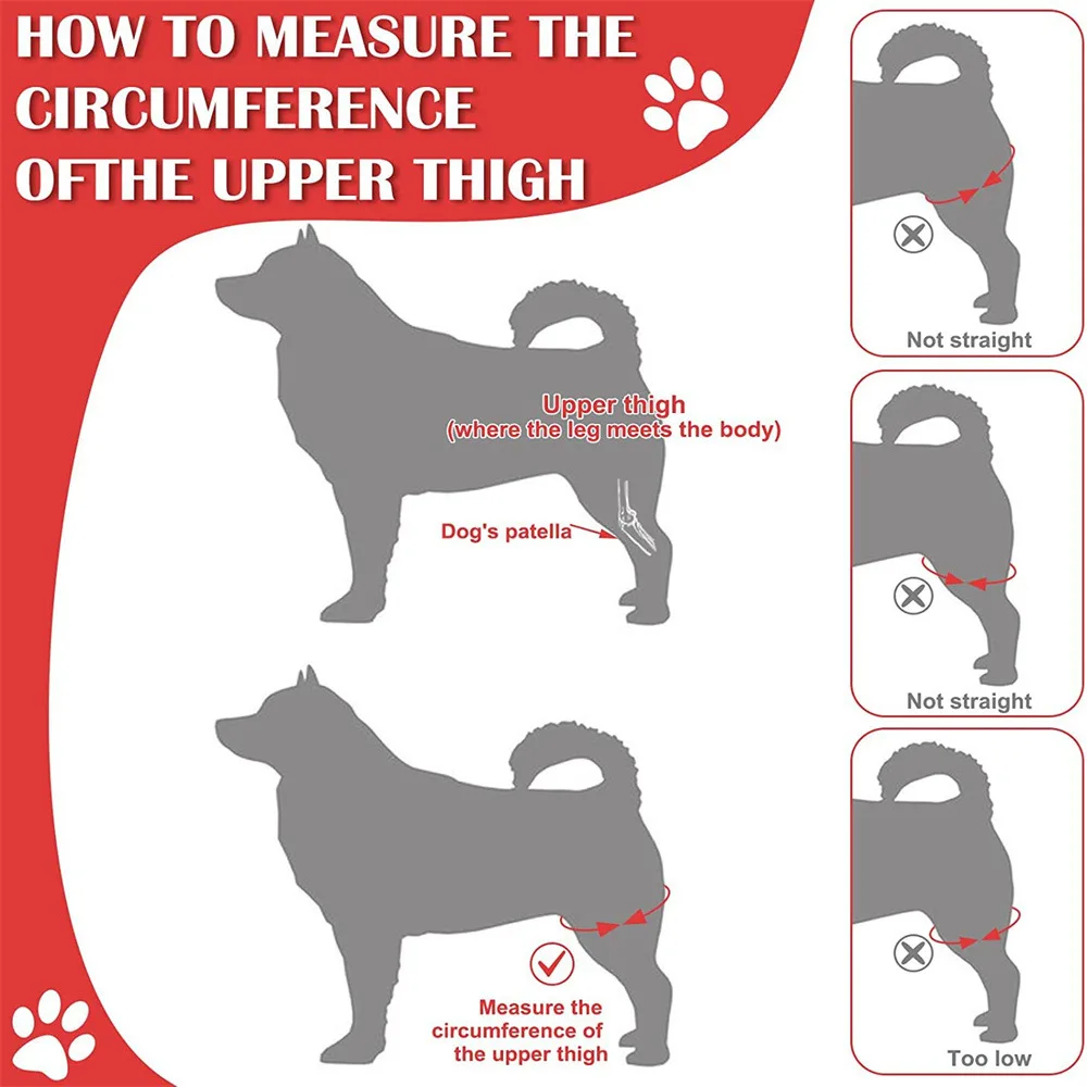 Orteza stawu kolanowego dla psa na ból stawów Ból mięśni Orteza na nogę Tylna opaska na nogę Wsparcie dla starszych niepełnosprawnych psów