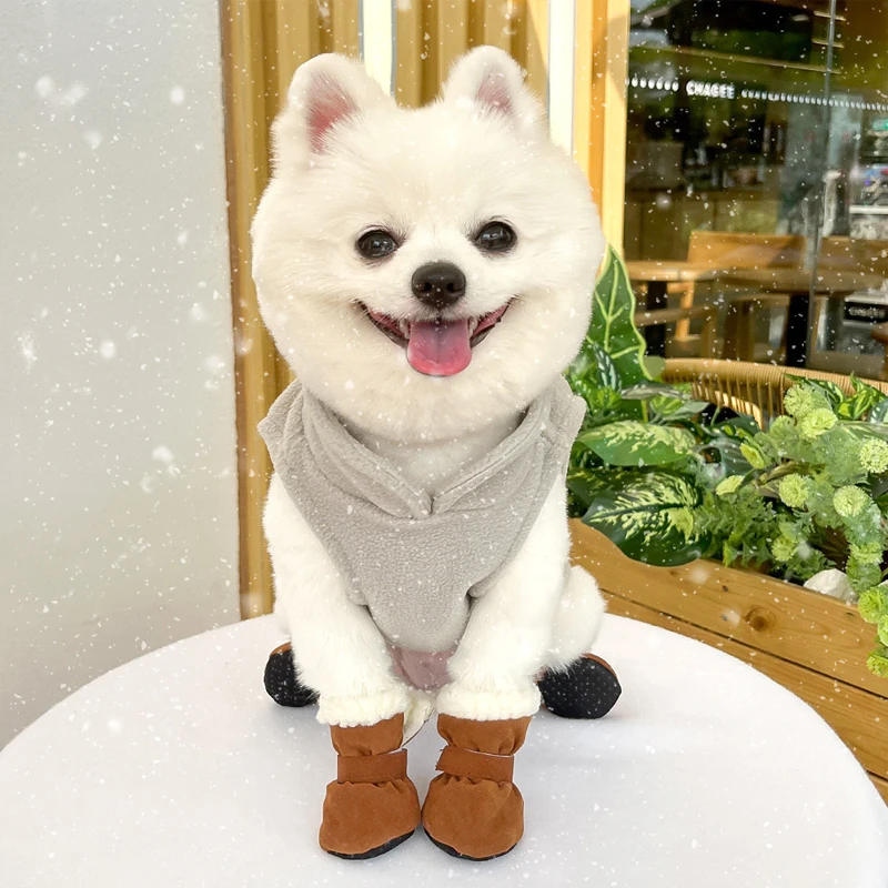 Comfortable Clothing for Your Dog