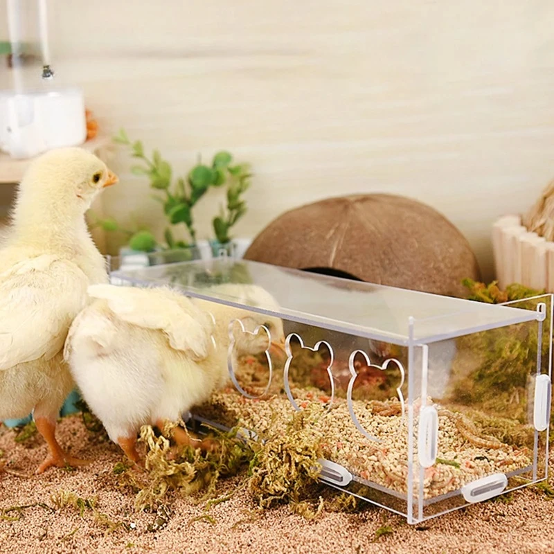 3/5 Holes Rutin Chicken Acrylic Feed BoxFeeder Transparent Splash-Proof Food Basin Large-Capacity Trough Feeding Box