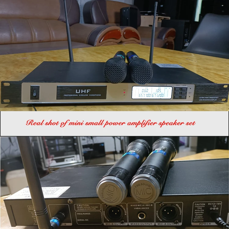 LS680U Performance Microphone Wireless Microphone Microphone Outdoor Sound Card One For Two U-segment With Receiver FM Stage