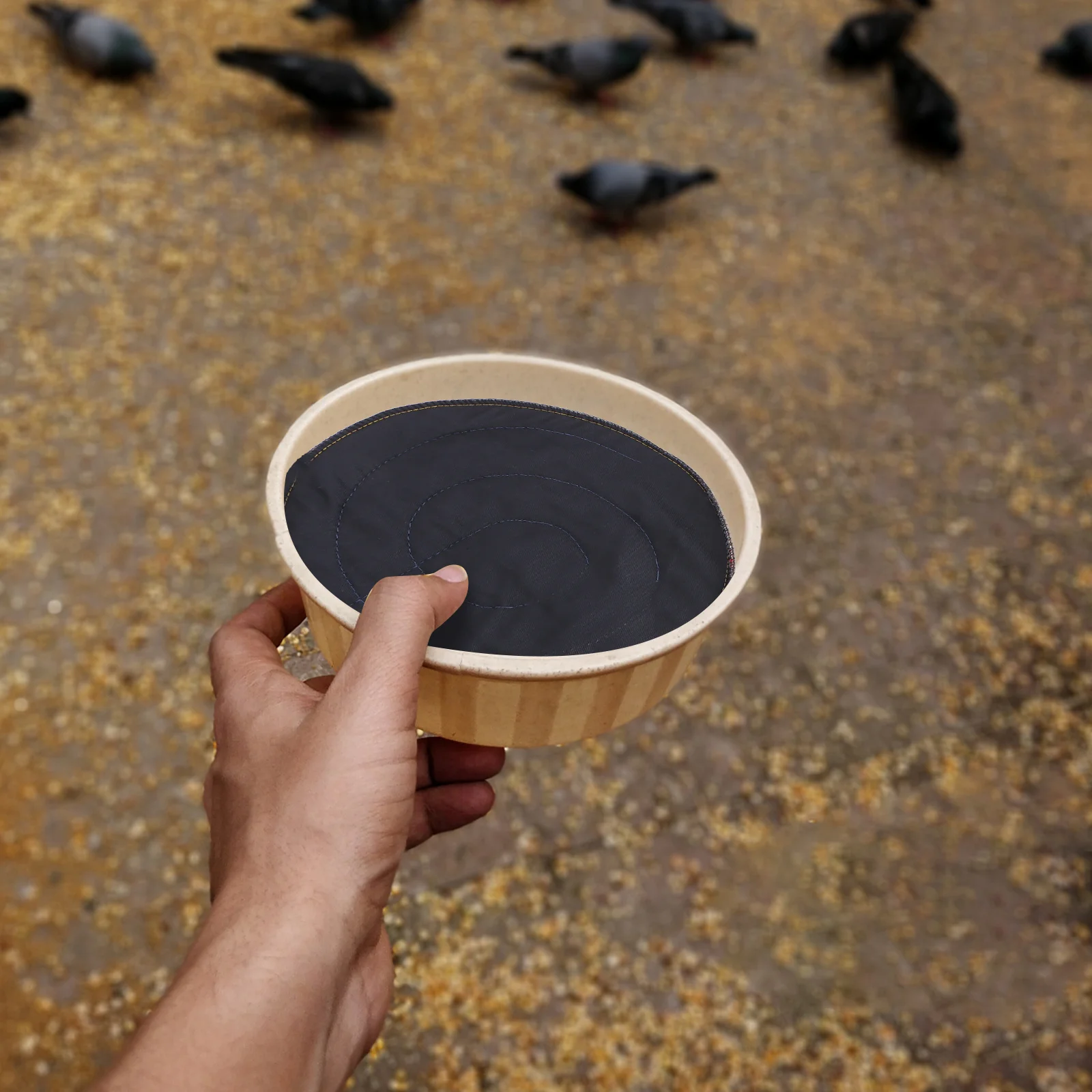 

10Pcs Pigeon Nest Supply Protection Mat Dry Breathable Reusable Pads for Pet Birds Black Pigeon Nest Mat Pads Protection Cushion