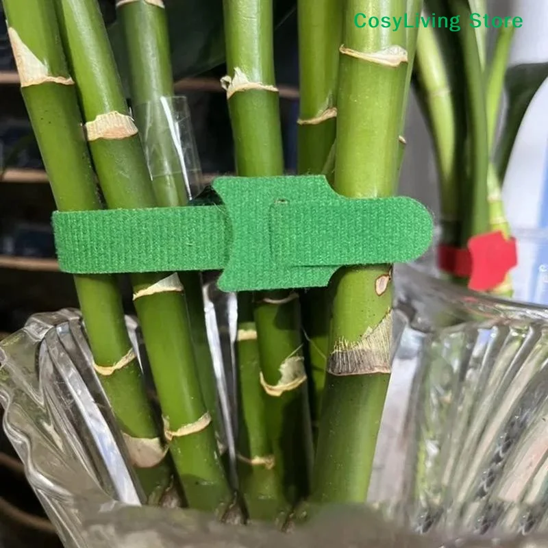 [CL]50/100/200pcs Reusable Adjustable Non-Slip Nylon Plant Ties With Hook And Loop Fasteners Ideal For Gardening Applications