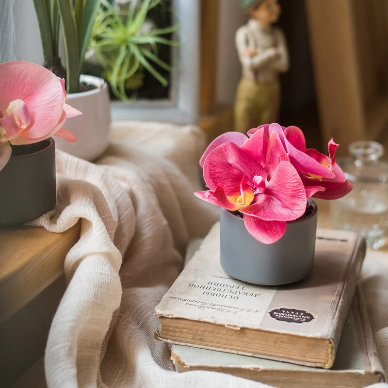 Small Simulation Phalaenopsis Bonsai 5-Color Desktop End Table Table Display Decoration Gift