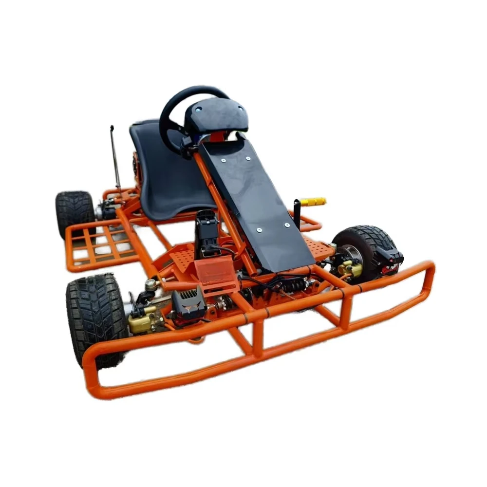Professional 3000W Electric Go Kart for Off-Road Drifting Optional Hand Brake Rear Wing Motor Chain Drive 200kg Load 120km/h