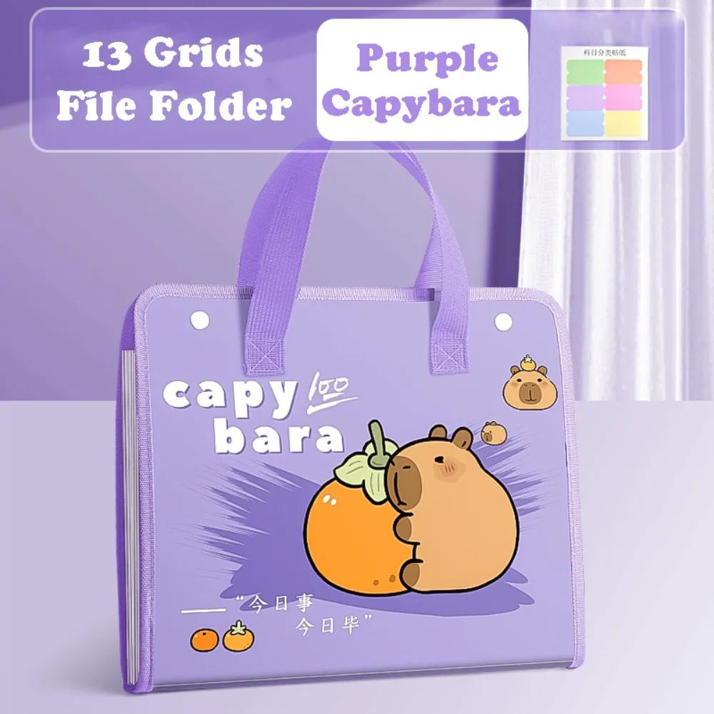 

Cute Capybara A4 File Folder 13 Pockets Large Capacity File Organizer Cartoon Waterproof Document Bag Students