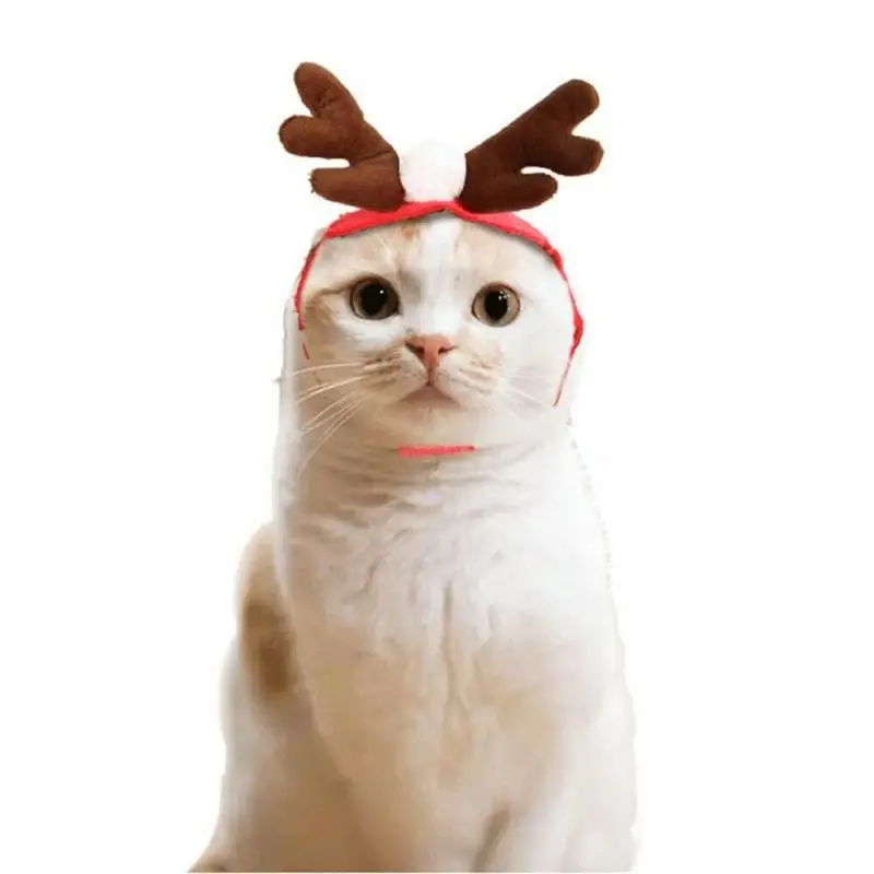 Funny Cat Christmas Costume Santa Cosplay Pet Christmas Cape Dress Up Clothes Warm Red Scarf Cloak With Hat Pet Accessories