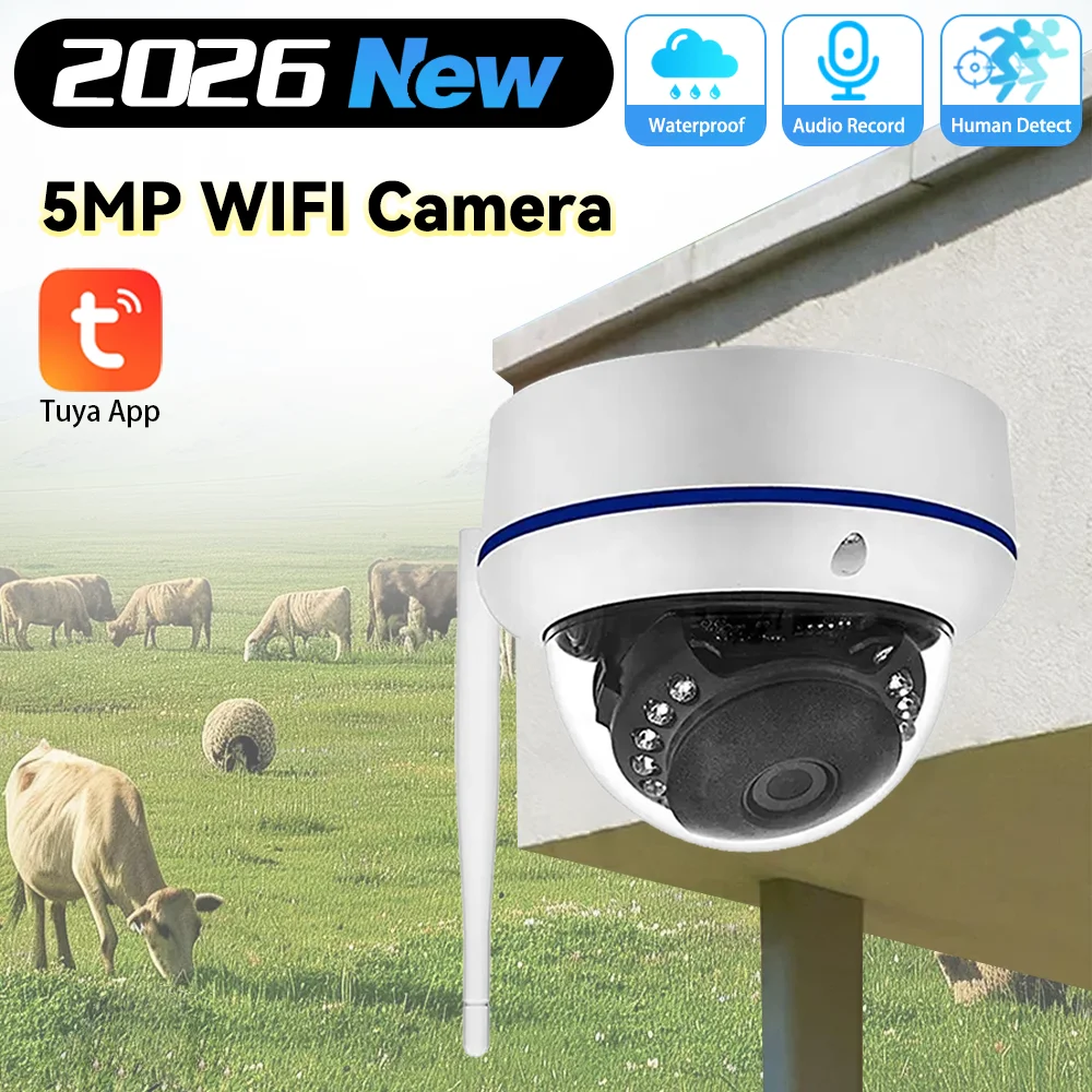 5mp-tuya-smart-vandal-proof-security-network-fisheye-panorama-hd-5mp-wifi-domestic-camera-audio-record-cctv-video-surveillance