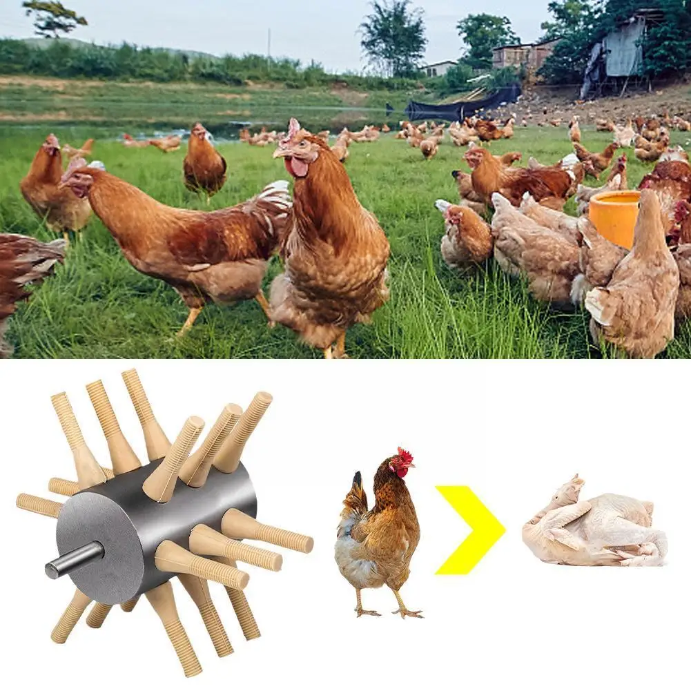 

Chicken Feather Plucker Machine Poultry Debeater Chicken Remover Plucker Feather Drill Duck Rooster Goose Attachment Poultr I5Y3