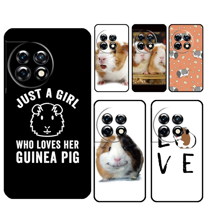 Cute Animals Guinea… - image