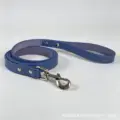 purple blue leash