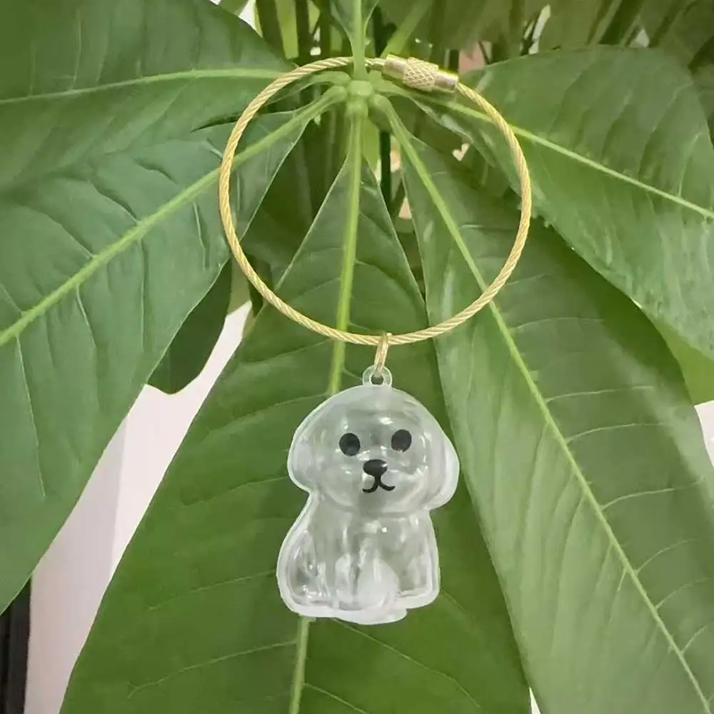 جرو الشعر التذكاري تذكار كبسولة الحيوانات الأليفة الكلب/القط الفراء الحاويات الحيوانات الأليفة الشعر تخزين المفاتيح ديكور عشاق الحيوانات الأليفة الحيوانات الأليفة الهدايا التذكارية