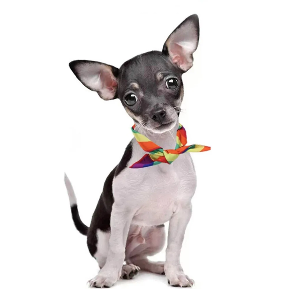 

Dog Dress Up Rainbow Headband Scarf Tutu Skirt Costume Set Pet Accessories For Small Dogs Pride Month