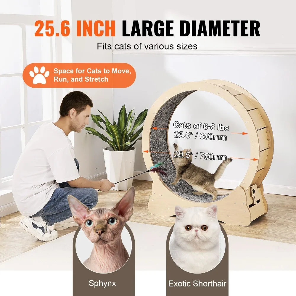 Large Silent Cat Exercise Wheel 2