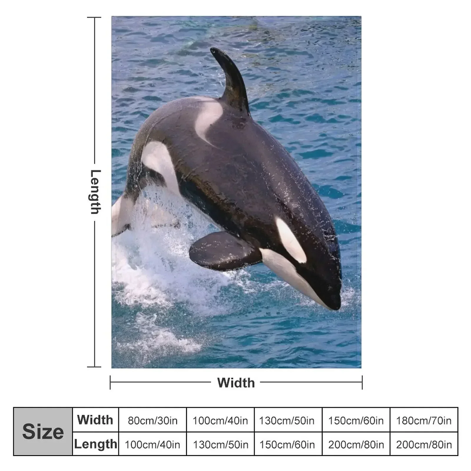 Killer whale orca jumping Throw Blanket Moving Sofas Blankets