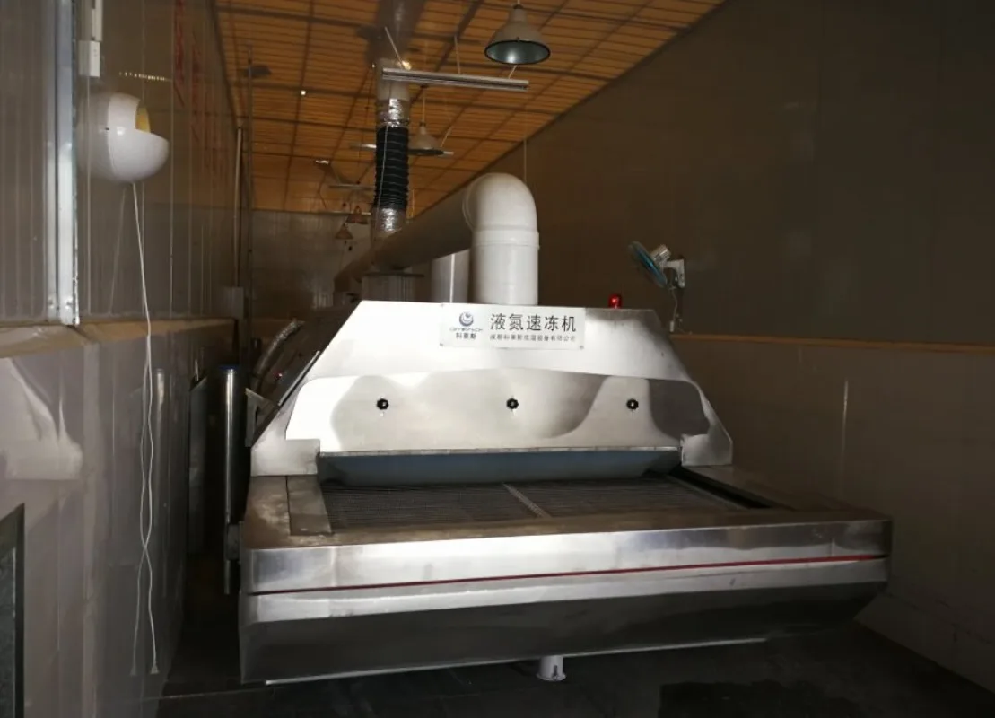 Advanced Liquid Nitrogen Quick Freezer for Rapid Food Preservation