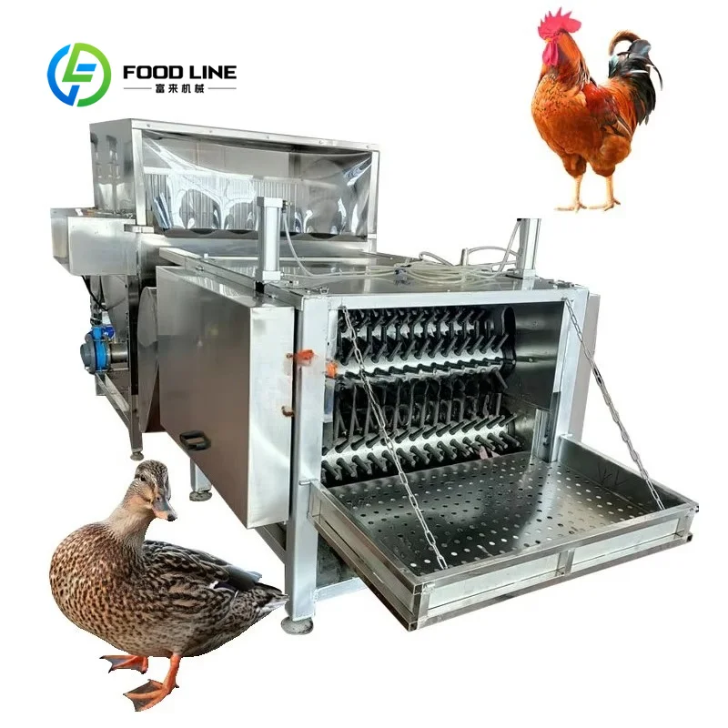 Poultry Scalding Plucking Machine Customized, Automatic Commercial Chicken Plucker and Scalder Device