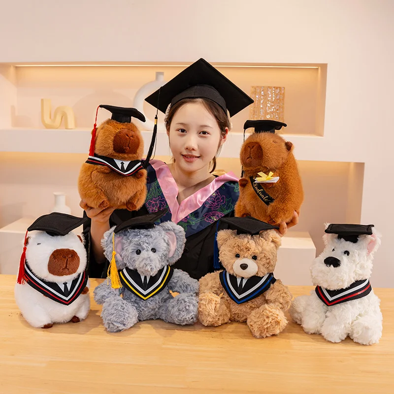 

25cm Cute Doctor Bear Capybara Plush Toy Stuffed Bear Kawaii Toys Funny Graduation Gift Home Decor Girls Boys Companion Toys