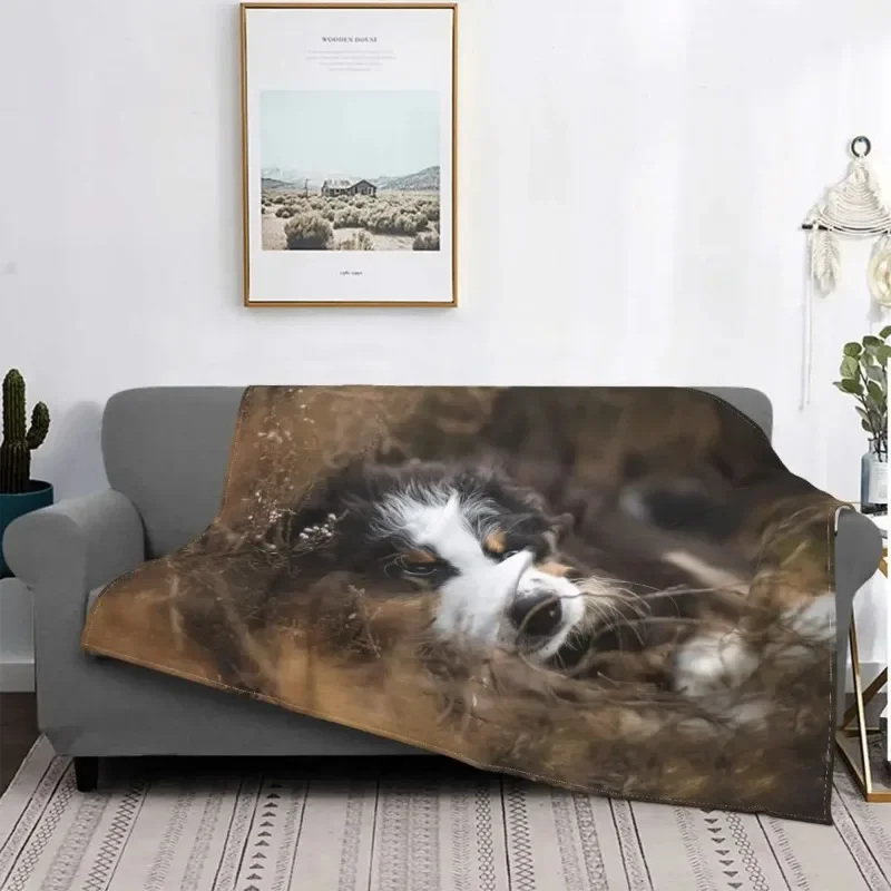

Cute Bernese Baby Blankets Velvet Summer 3D Print Animal Portable Warm Throw Blanket for Bedding Couch Plush Thin Quilt